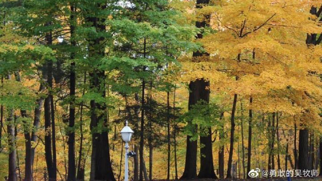 刚刚微博推广智能化配置您的网络平台:短视频推广与账号运营的一站式服务,网民造谣比亚迪已被行拘