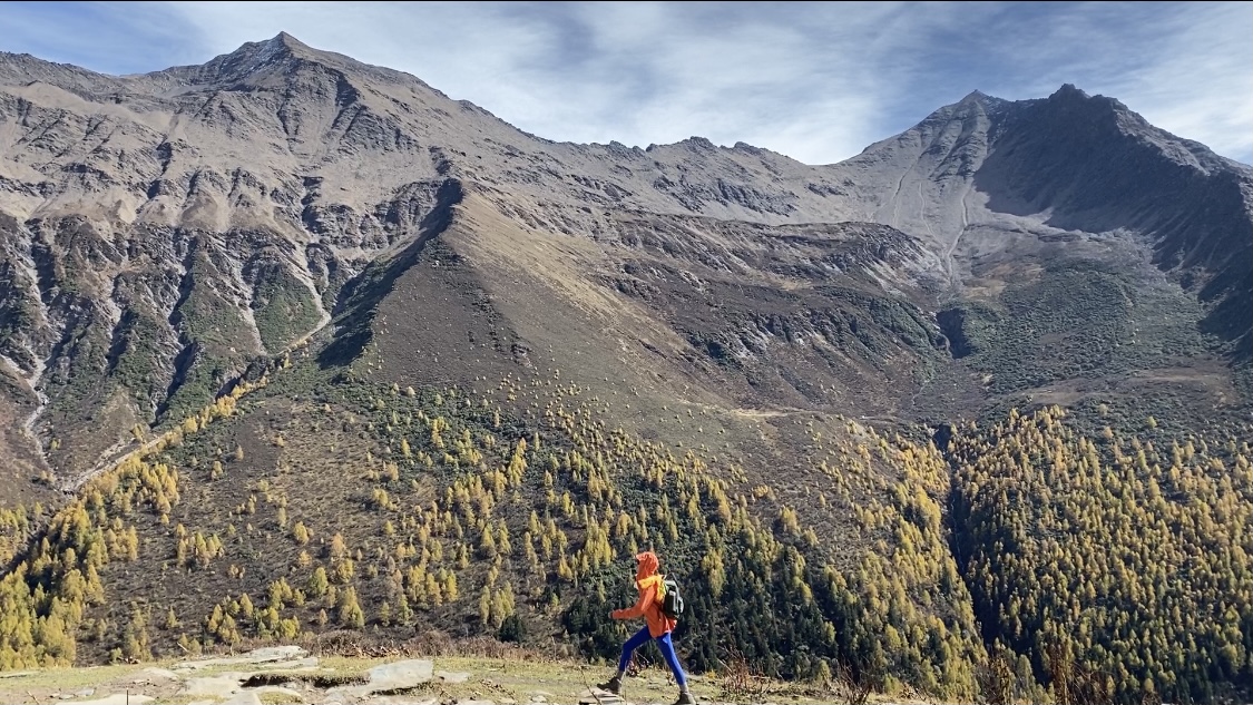 本周联合推广智能化升级您的客户管理系统,高效触达目标用户,抖音赞自助下单平台低价：抖音热歌席卷全球年轻人争相传唱